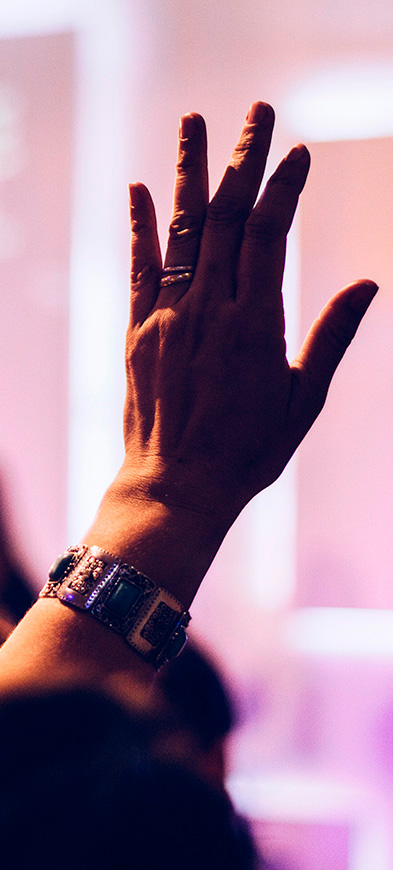 Бесплатное обучение